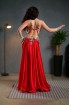 Professional bellydance costume (Classic 332 A_1)